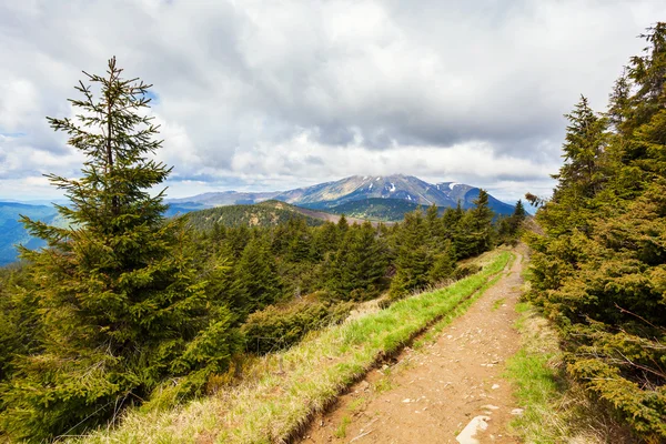 Road in the mountains — Stock Photo, Image