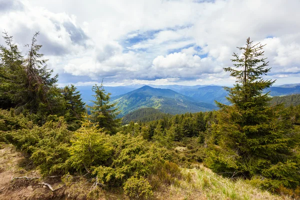 Karpaty — Stock fotografie