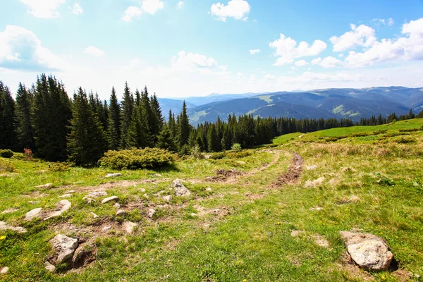 The road in the Carpathians — Stock Photo, Image