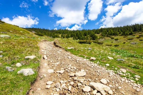 The road in the Carpathians — Stock Photo, Image