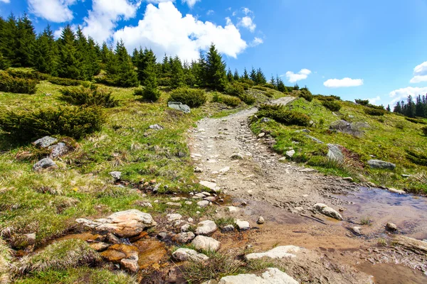 Road in the mountains — Stock Photo, Image