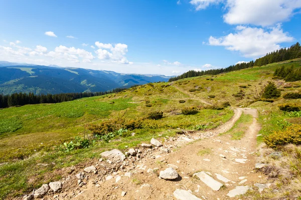 Dağlarda yol — Stok fotoğraf