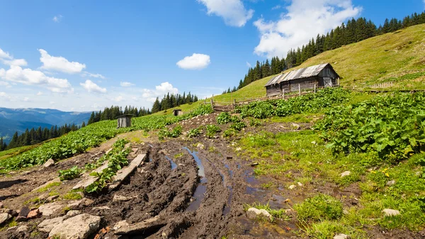 Road in the mountains — Stock Photo, Image