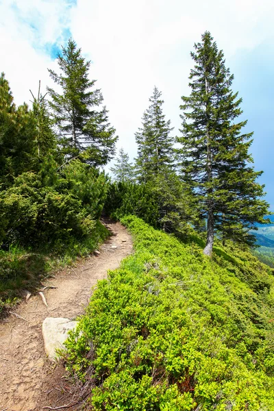 Road in the mountains — Stock Photo, Image