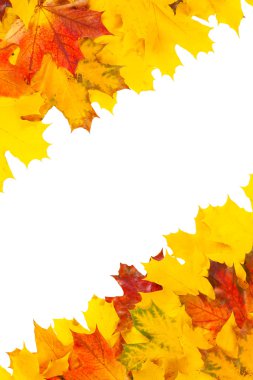 Akçaağaç yaprakları tasarımını