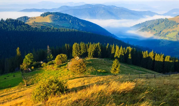 Mountains in the Carpathians — Stock Photo, Image