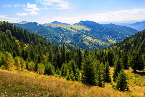 Góry w Karpatach — Zdjęcie stockowe