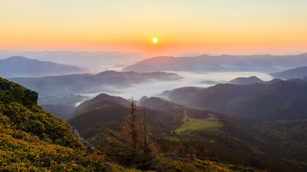 Схід сонця в Карпатських горах Ліцензійні Стокові Фото