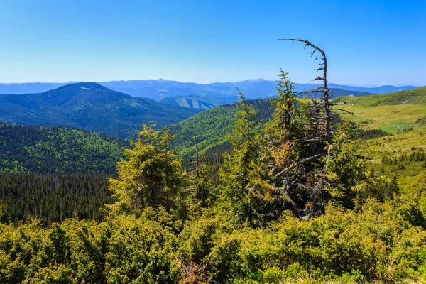 Mountains — Stock Photo, Image