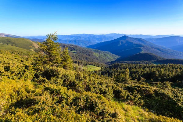 Montanhas Cárpatas — Fotografia de Stock