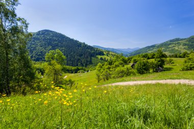 Meadows in the Carpathians clipart