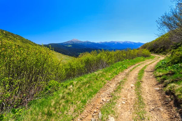 Die Straße in den Karpaten — Stockfoto