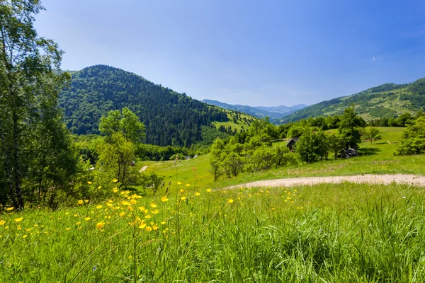 Луки в Карпатах Стокове Зображення