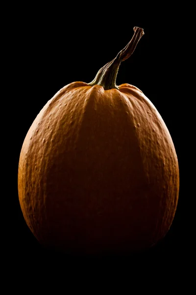 Pumpkin — Stock Photo, Image