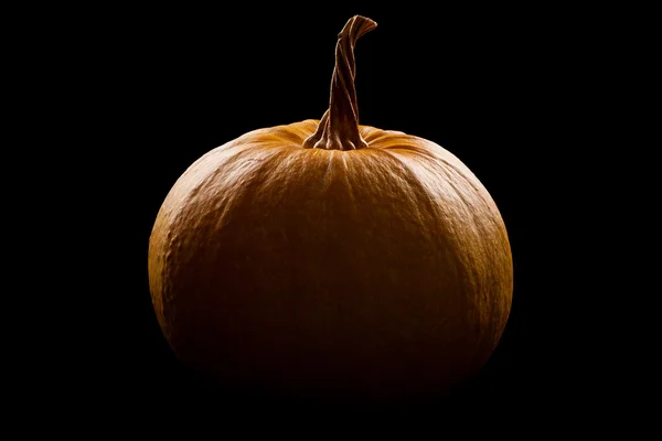 Calabazas de silueta Imagen de archivo