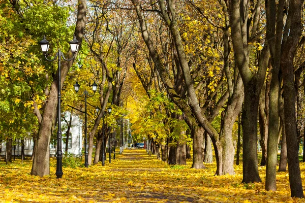 Осінь в парку — стокове фото