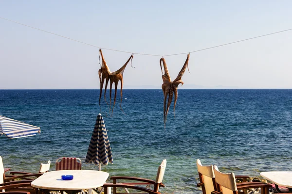 Secando pulpo en el sol. Isla de Samos, Grecia . — Foto de Stock