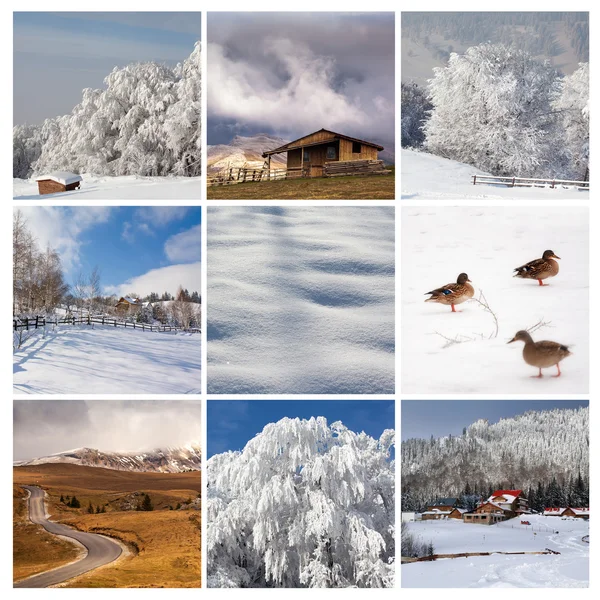 Hoge kwaliteit winter collage — Stockfoto