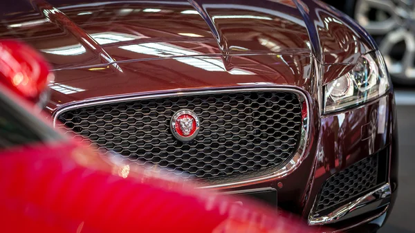 LONDRES, ENGLÂNDIA - 4 de outubro de 2015: Nova Jaguar Close-up — Fotografia de Stock