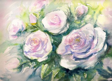White roses watercolor painted