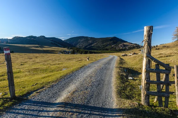 Camino en las montañas — Foto de Stock