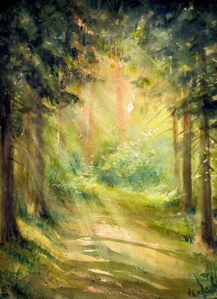 Forest watercolors painted — Stock Photo, Image