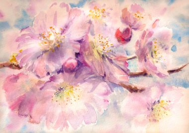 kiraz ağacı çiçek