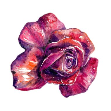 Gül suluboya boyalı