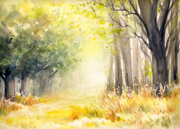 Summer forest.Watercolors — Stock Photo, Image