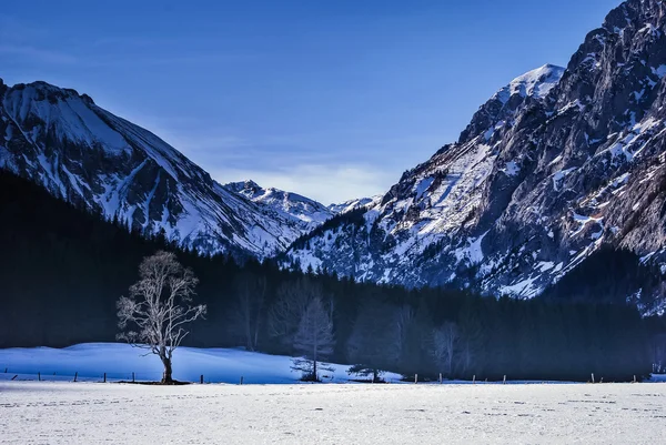 Paisaje invernal, Austria — Foto de Stock