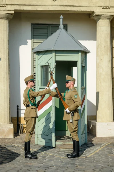 Guardião em Budapeste — Fotografia de Stock