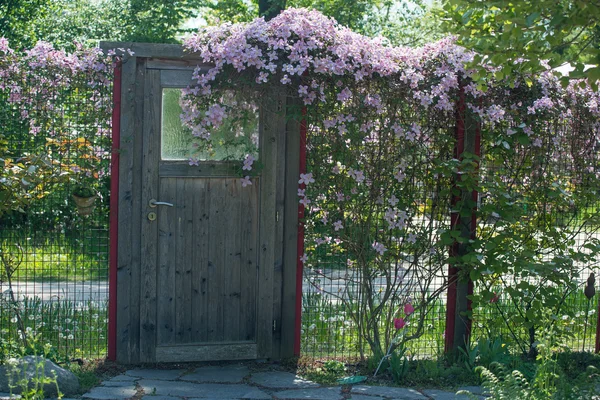 Door to garden — Stock Photo, Image