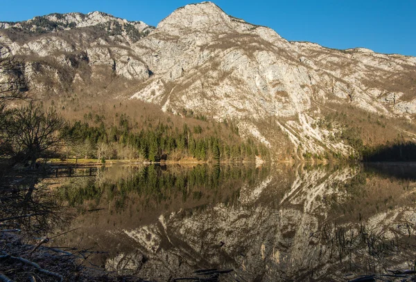 Bohinjer See Slowenien — Stockfoto