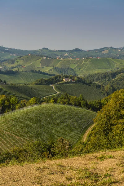 Winery in autumn — Stock Photo, Image