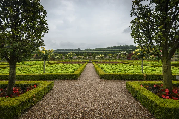 Garten des Schlosses von Villandry — Stockfoto