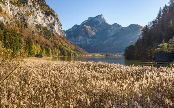 Krajina s jezerem — Stock fotografie