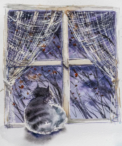雨の秋の日を外を見る窓辺に座っているタビー猫 水彩画 — ストック写真