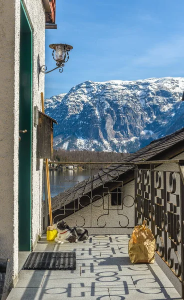 Details Der Haustür Mit See Und Bergen Hintergrund Österreich — Stockfoto