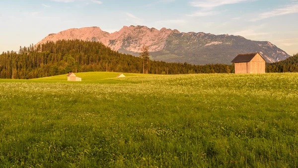 Vista Campo Verão Pôr Sol Sobre Montanha Grimming Styria Áustria — Fotografia de Stock