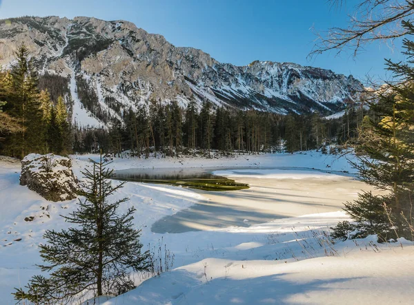 Мирний Гірський Краєвид Відомим Зеленим Озером Австрії Штирії Туристичне Місце — стокове фото