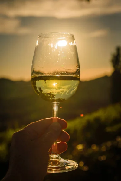 Una Copa Vino Mano Una Mujer Sobre Fondo Del Viñedo — Foto de Stock