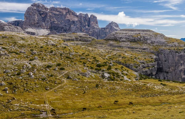 Rifugio Auronzo Parque Natural Tre Cime Drei Zinnen Sexten Dolomites — Foto de Stock