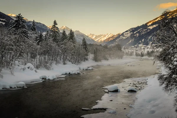 雪に囲まれた木々や背景に美しい山々 — ストック写真