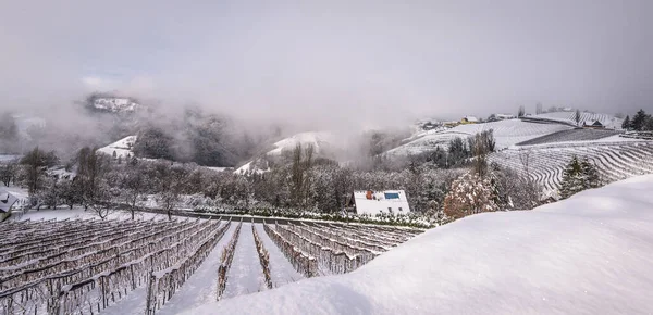 Winter landscape with South Styria vineyards, known as Austrian Tuscany, a charming region on the border between Austria and Slovenia with rolling hills, picturesque villages and wine taverns.