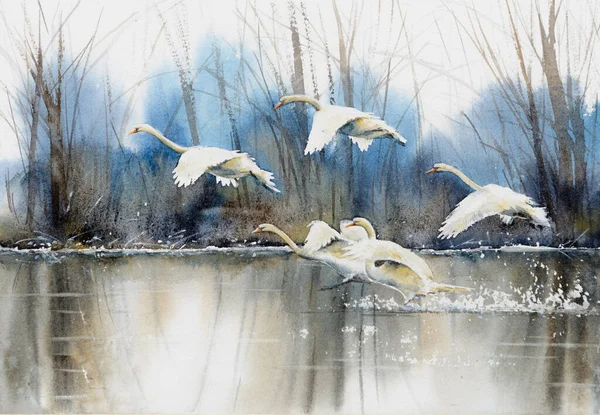 Cisnes Brancos Voando Sobre Água Imagem Criada Com Aquarelas — Fotografia de Stock