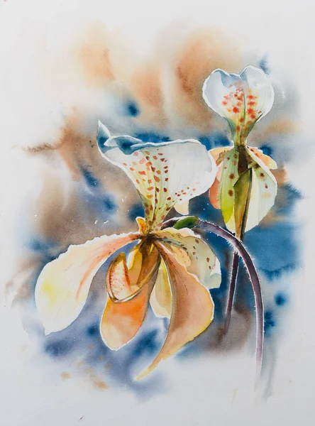 一种美丽的陆生兰花 一种具有长保质期的漂亮盆栽植物 图片是用水彩画制成的 — 图库照片