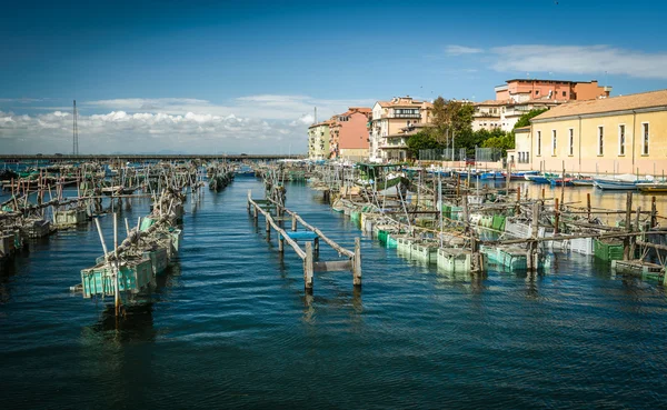 Chioggia — Φωτογραφία Αρχείου