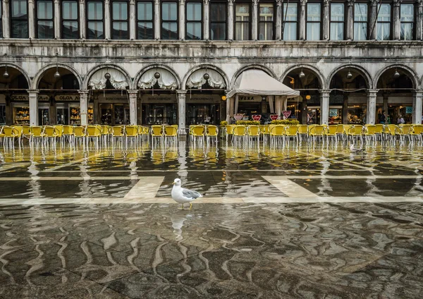 Venice — Stock Photo, Image