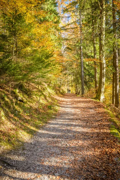 Pathway — Stock Photo, Image