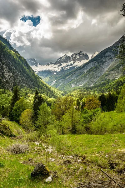 Landskap — Stockfoto